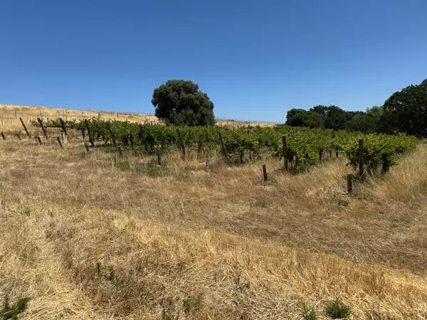 Livermore, CA 94550,342 Kalthoff Common