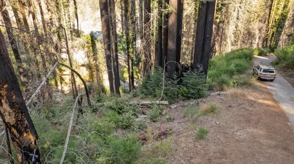 Boulder Creek, CA 95006,Boulder Brook DR