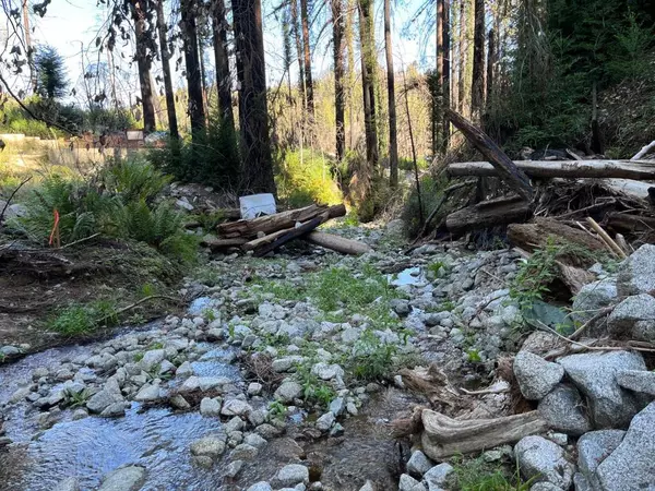 Boulder Creek, CA 95006,Boulder Brook DR
