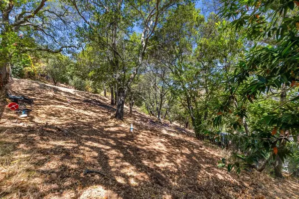 Redwood City, CA 94062,0 S Palomar DR