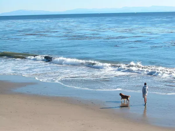 Santa Cruz, CA 95060,148 Mason ST