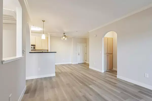San Jose, CA 95128,801 S Winchester BLVD #4116