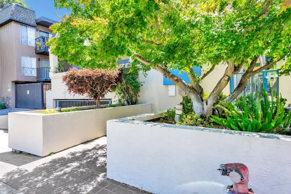 San Carlos, CA 94070,656 Cedar ST #3