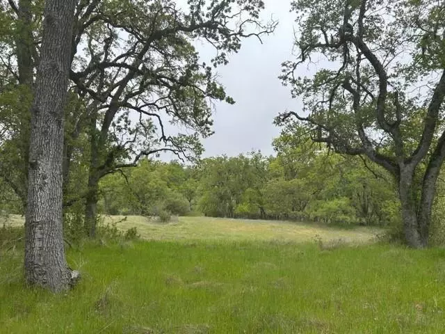 0 Lambert Flat RD, Carmel Valley, CA 93924