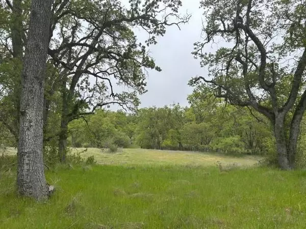 Carmel Valley, CA 93924,0 Lambert Flat RD