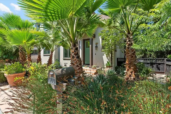 Menlo Park, CA 94025,900 Roble AVE