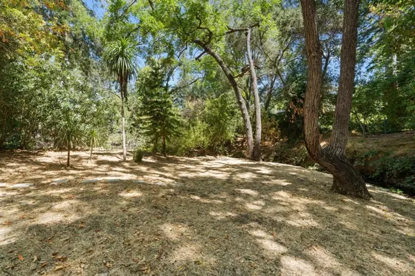 Los Altos, CA 94024,932 Lundy LN