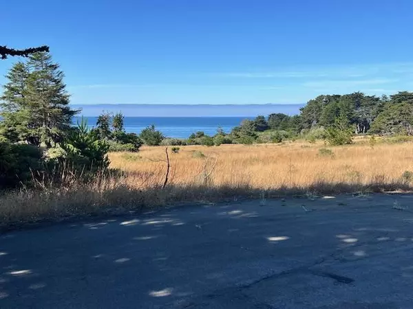 The Sea Ranch, CA 95497,375 Spur Close