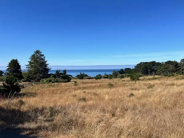 The Sea Ranch, CA 95497,375 Spur Close