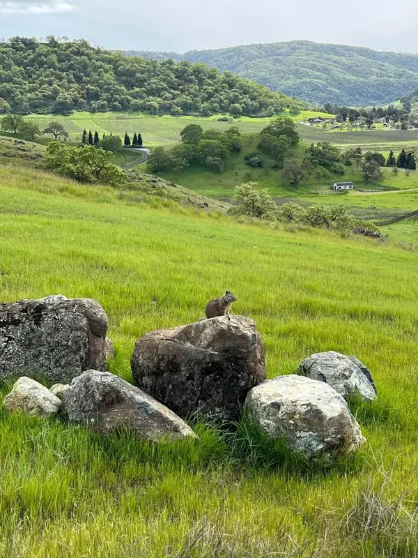 San Martin, CA 95046,0 Hayes LN