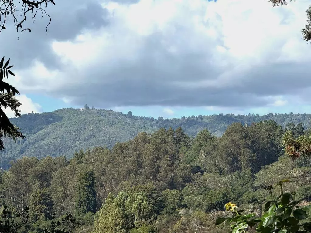 Corralitos, CA 95076,422 Allan LN