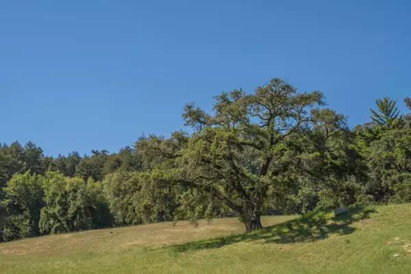 Los Gatos, CA 95033,25373 Spanish Ranch RD