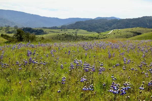 1 Penon Peak (Lot 217) TRL, Carmel, CA 93923