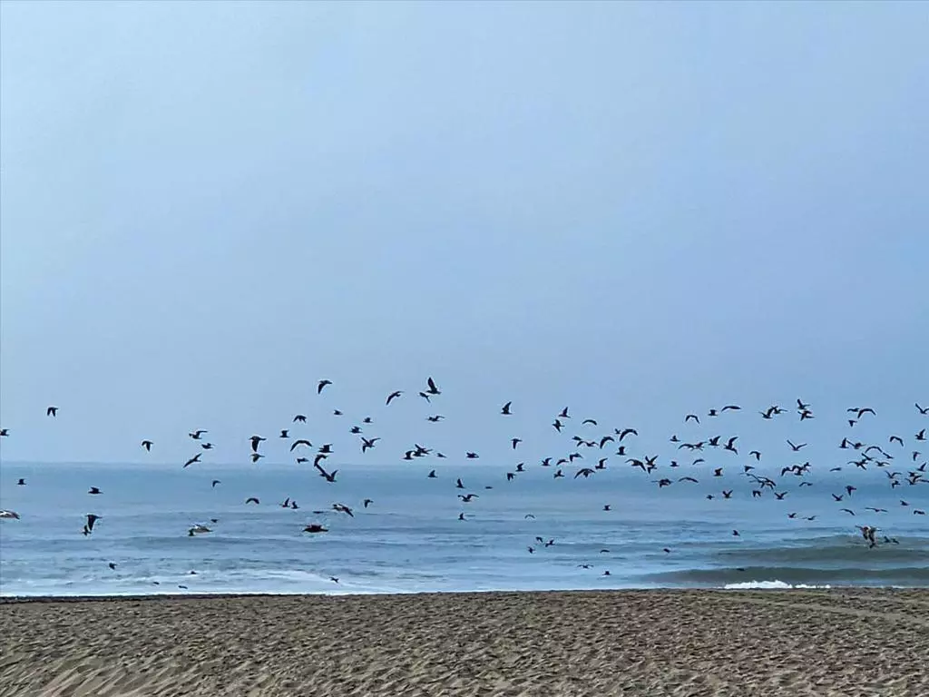 San Francisco, CA 94121,875 La Playa ST #180