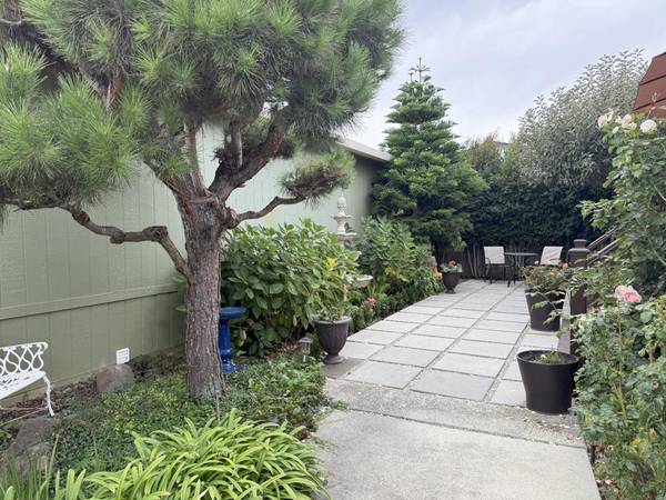 Sunnyvale, CA 94089,1225 Vienna DR