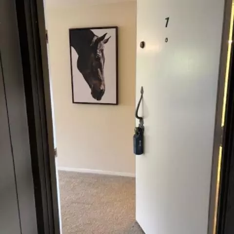 San Carlos, CA 94070,3295 La Mesa DR #7