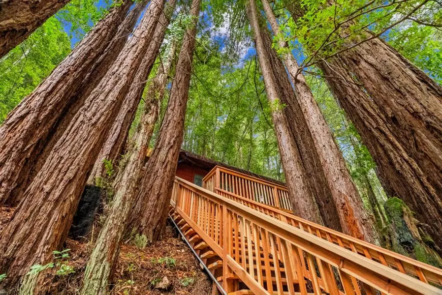 1741 Gold Gulch RD, Felton, CA 95018