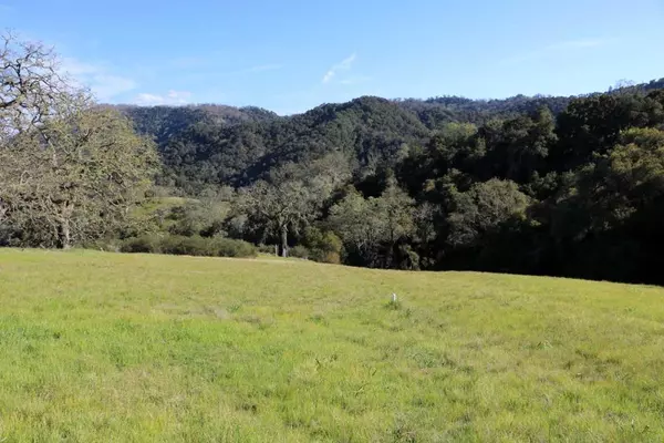 Carmel, CA 93923,5 Black Mountain Trail (Lot 247) TRL