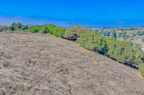 Castroville, CA 95012,15108 Castroville BLVD