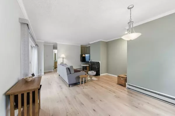 San Mateo, CA 94403,1919 Alameda De Las Pulgas #134