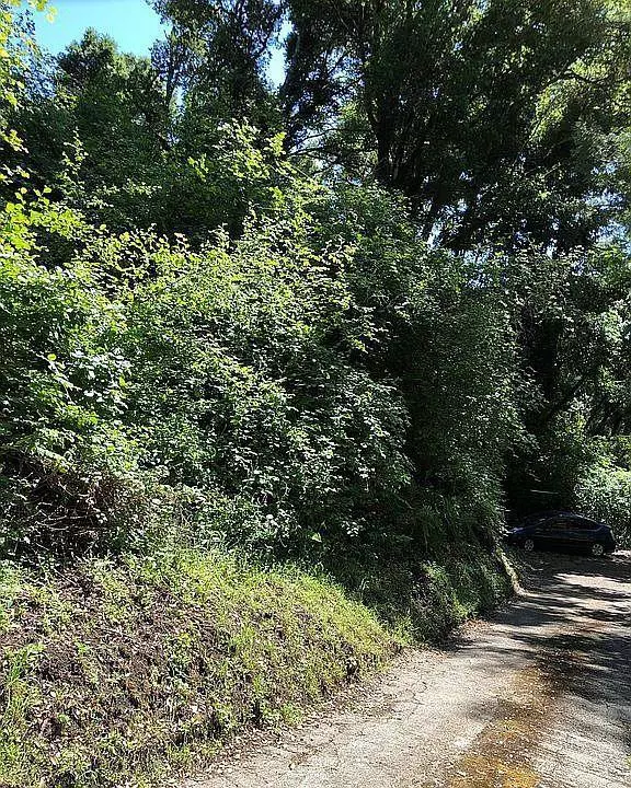 0 Farr AVE, Aptos, CA 95003