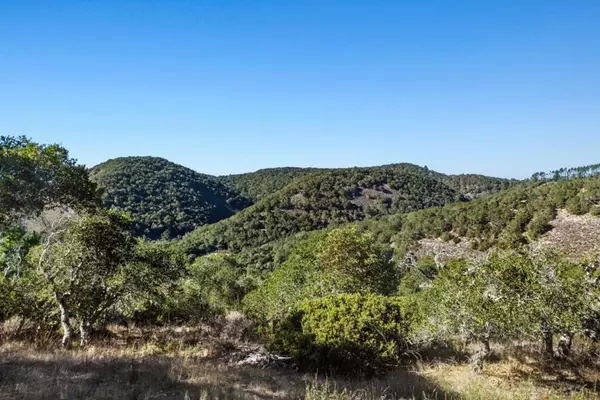 Carmel, CA 93923,9 Corral RUN