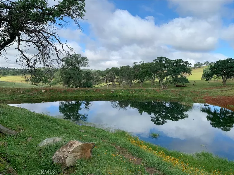 328 Exechequer Dam RD, Hornitos, CA 95325