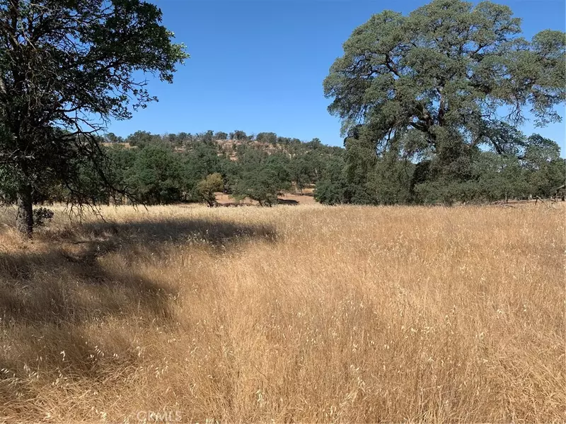 5 Thunder RD, Catheys Valley, CA 95306