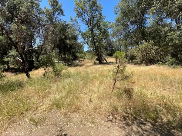 Mariposa, CA 95338,4011 Pacific Bars RD