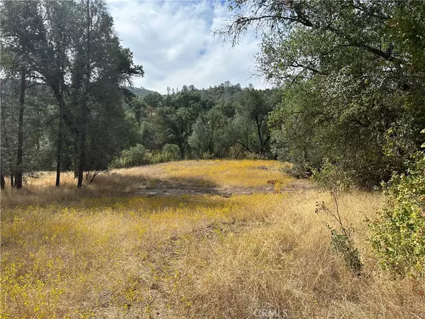 Mariposa, CA 95338,7 Lookout Mountain