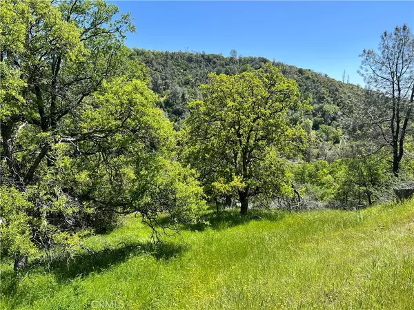 Mariposa, CA 95338,0 Lakeside DR