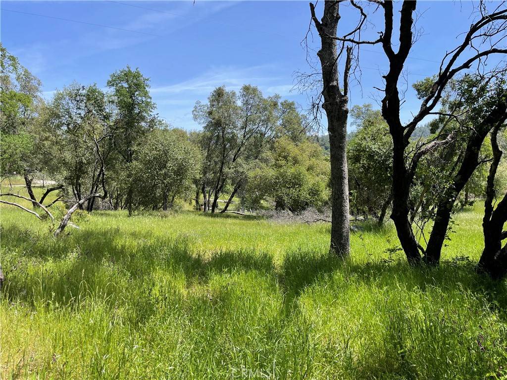 Mariposa, CA 95338,5275 Italian Creek RD