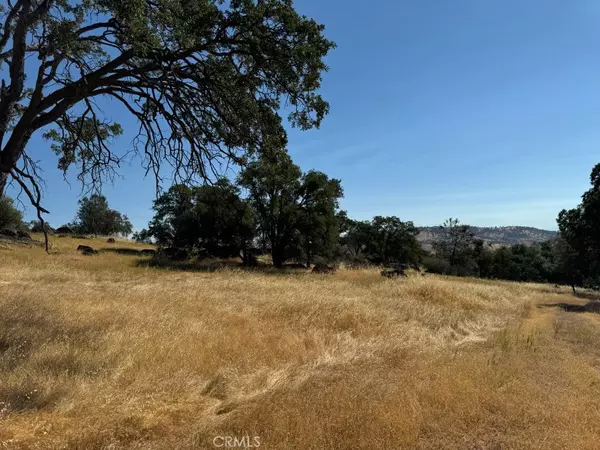 0 Bear Valley RD, Mariposa, CA 95338