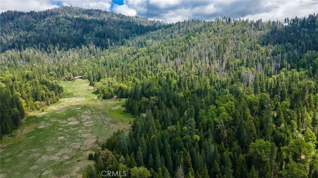 Ahwahnee, CA 95338,5657 Worman RD