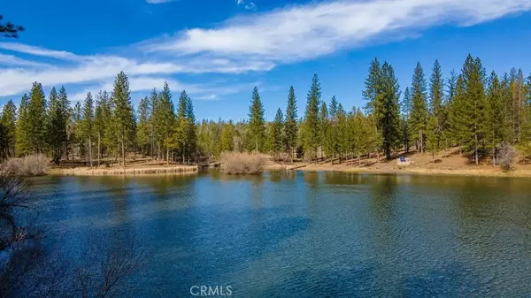 Coulterville, CA 95311,9850 Ernst RD