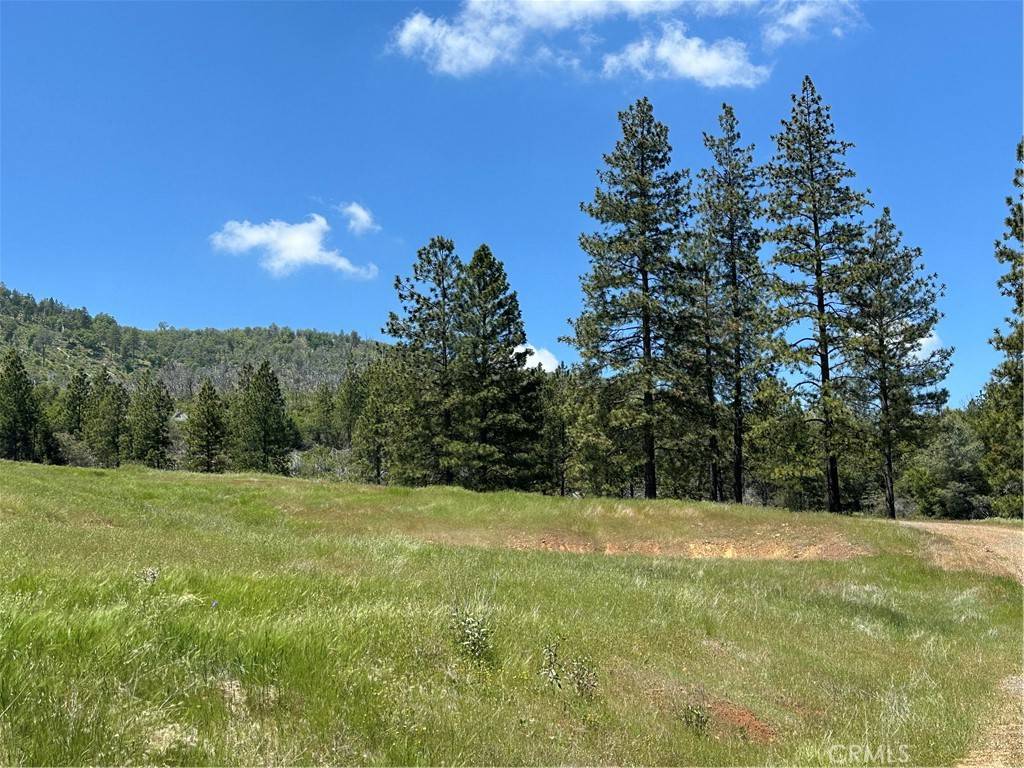 Mariposa, CA 95338,6071 Cya RD