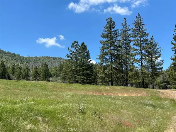 Mariposa, CA 95338,6071 Cya RD