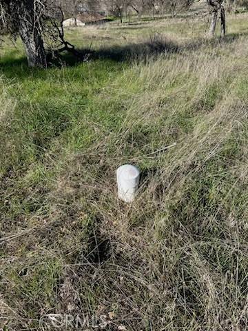 Catheys Valley, CA 95306,5 Acres - El Toro RD