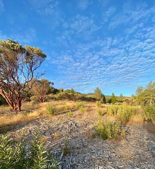 17 5 Acres Vista Lago, Mariposa, CA 95338