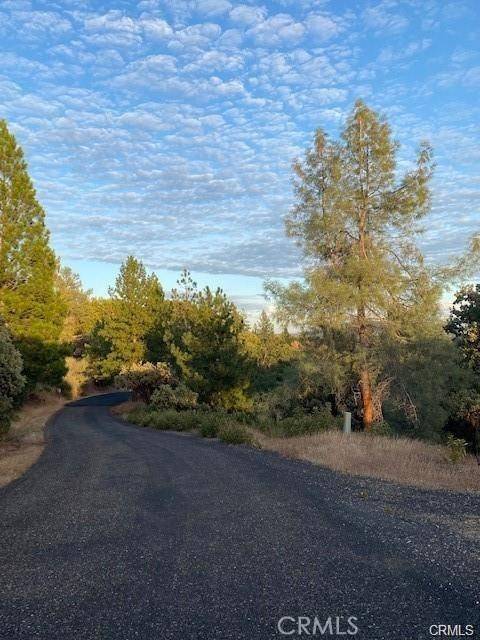 Mariposa, CA 95338,17 5 Acres Vista Lago