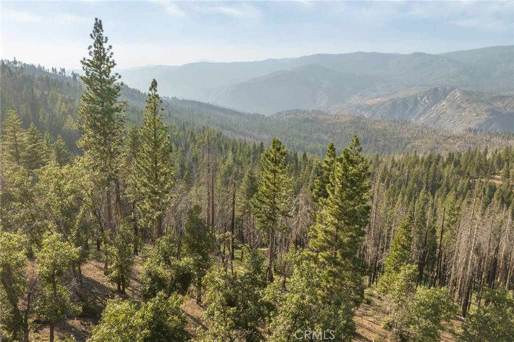 Yosemite, CA 95389,7373 Henness Ridge RD