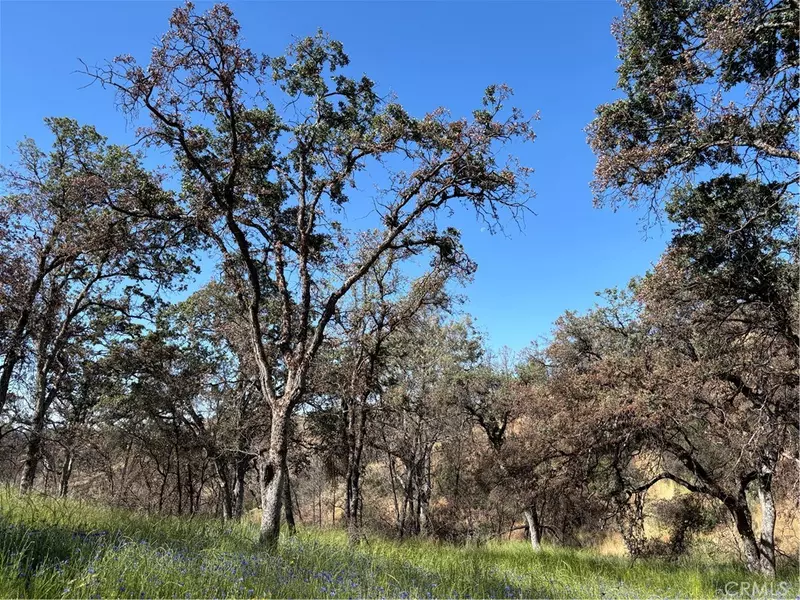 5358 Mariposa Heights RD, Mariposa, CA 95338