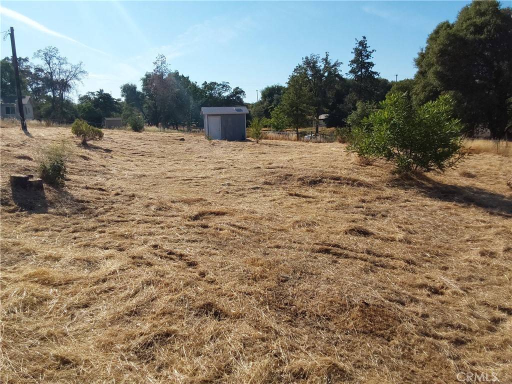 Mariposa, CA 95338,4949 Mount Bullion cutoff