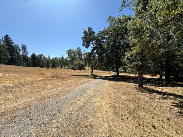Mariposa, CA 95338,3122 Triangle Park RD