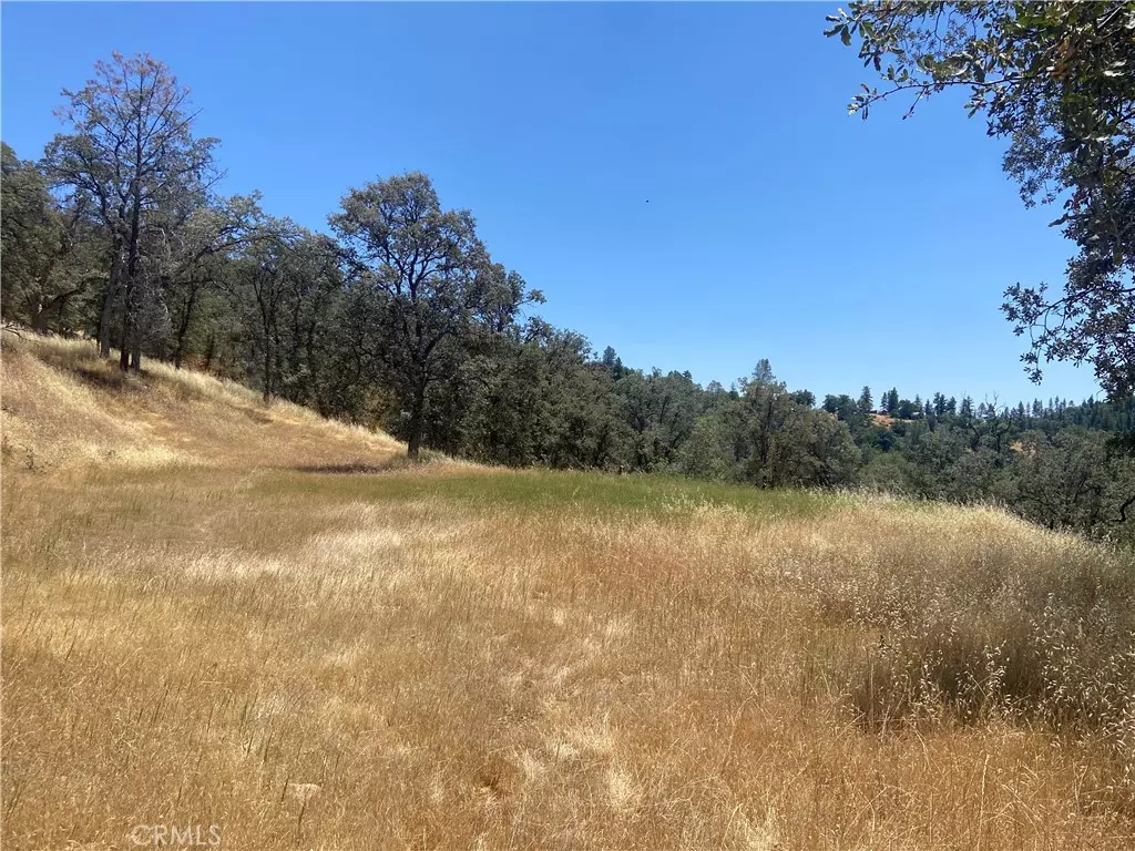 Mariposa, CA 95338,5737 Colorado RD