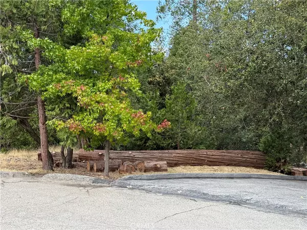 Mariposa, CA 95338,2407 Anglers CT