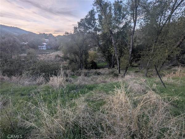 Mariposa, CA 95338,5255 White Oak CT