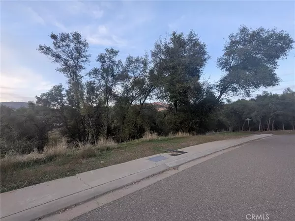 Mariposa, CA 95338,5255 White Oak CT