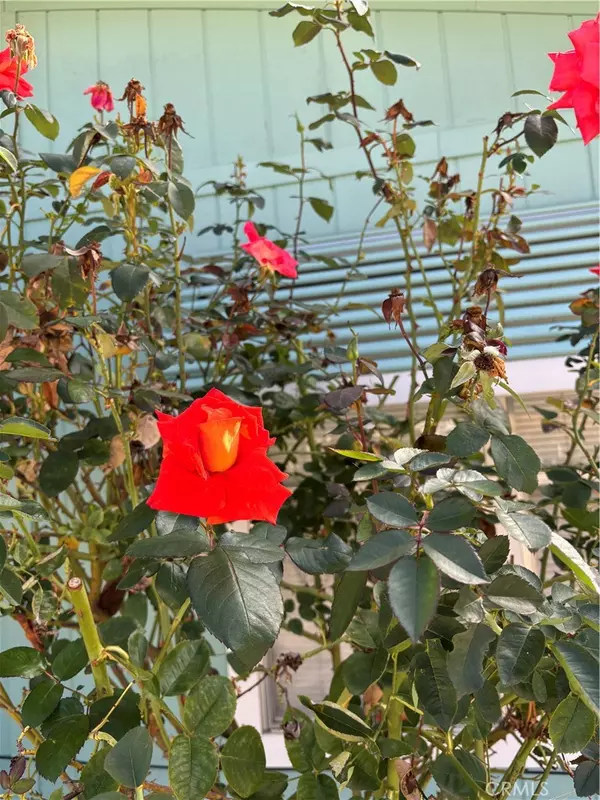 Mariposa, CA 95338,5277 Highway 49 N #79