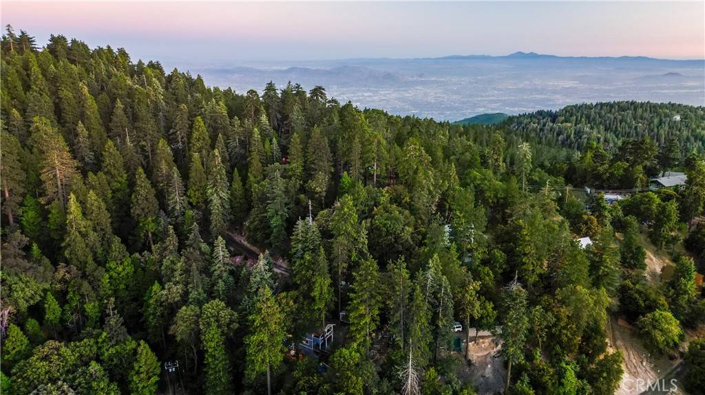 Twin Peaks, CA 92391,0 Mid LN